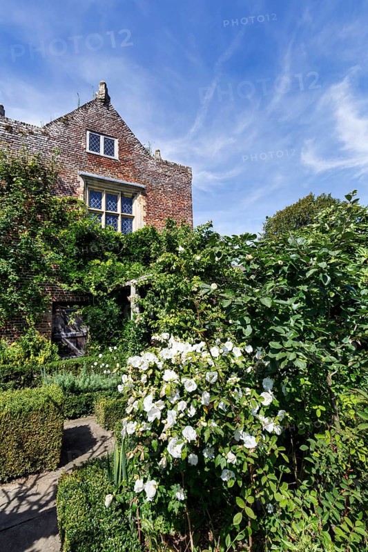 The White Garden, gardens, Cirrus, Sissinghurst Castle and Garden, Cranbrook, Kent, England, Great Britain