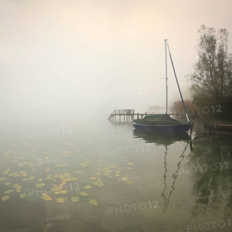 Quiet autumn morning on Lake Chiemsee, jetties and sailing boat in dense fog, water lilies in the water, Prien am Chiemsee, Bavaria, Germany, Europe