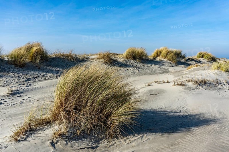 The East Frisian North Sea island of Juist in winter, dunes on the western part of the island, at Billriff, Lower Saxony, Germany, Europe