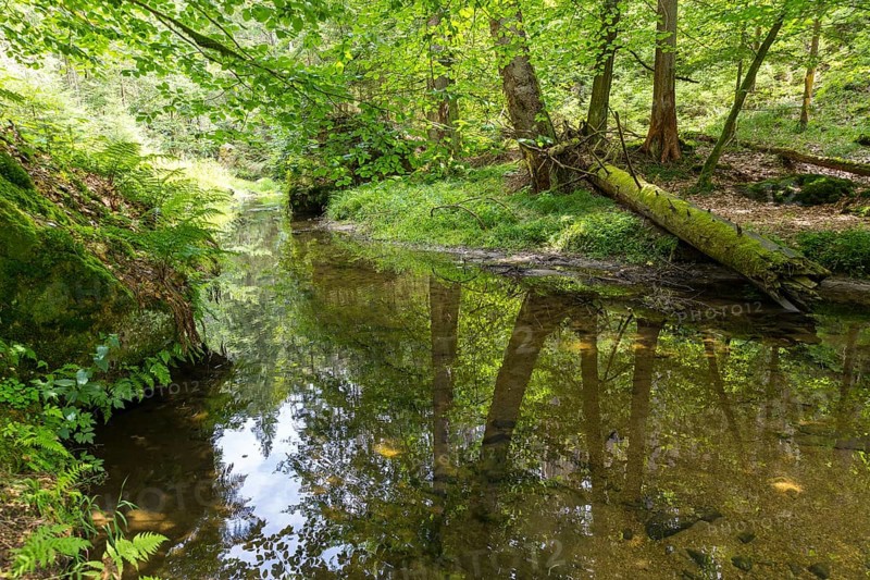 Kirnitzsch in the Kirnitzsch Valley, Sebnitz, Saxon Switzerland, Saxony, Germany, Europe