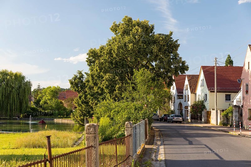 Village view of Naundorf, historic buildings with farmhouses, village green with pond, Radebeul, Saxony, Germany, Europe