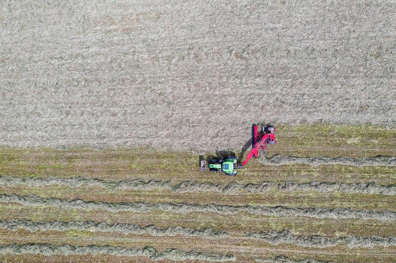 Aerial view of a tractor with rake raking hay, Dresden, Saxony, Germany, Europe