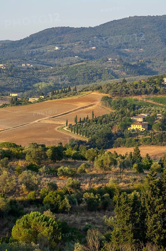 Tuscan landscape, country estate with vineyards, forests, olive trees and cypresses in Chianti, Chianti Region, Tuscany, Italy, Europe