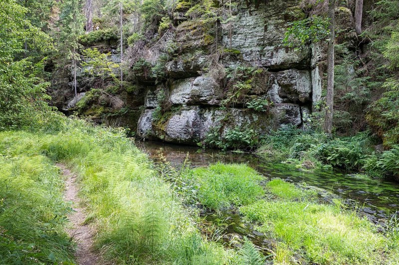 Hiking trail along the Kirnitzsch river in the Kirnitzschtal valley, Sebnitz, Saxon Switzerland, Saxony, Germany, Europe