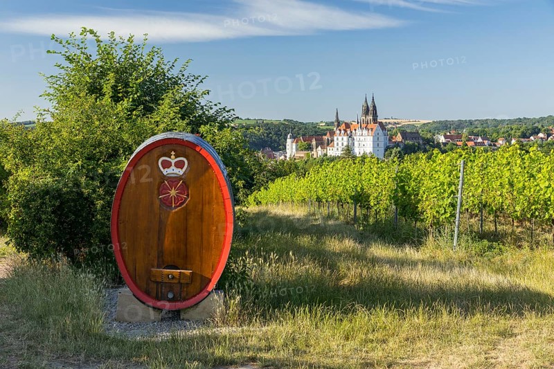 Viewpoint Am Boxberg with wine barrel and Albrechtsburg Castle with cathedral, Katzenstufen, Proschwitz, Meissen, Saxony, Germany, Europe
