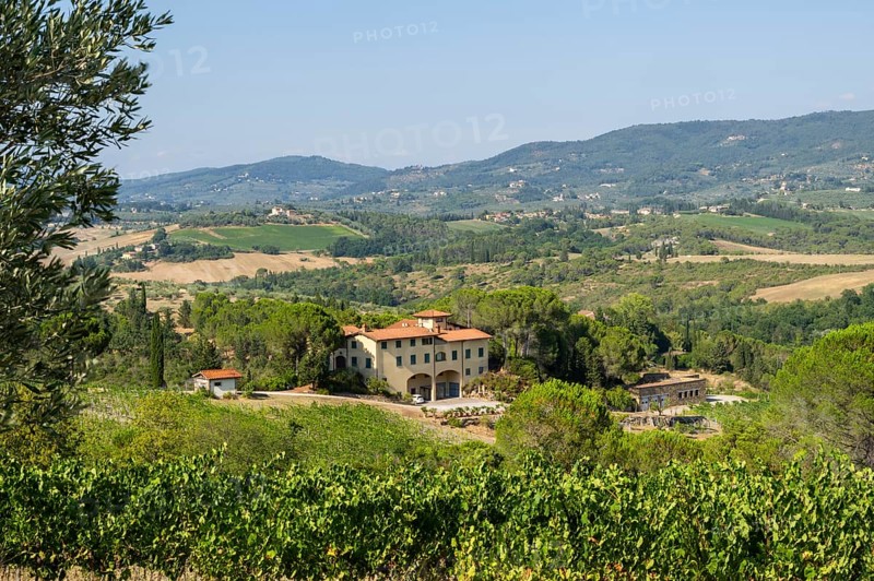 Tuscan landscape, Farm house, country estate with vineyards, forests, olive trees and cypresses in Chianti, Chianti Region, Tuscany, Italy, Europe