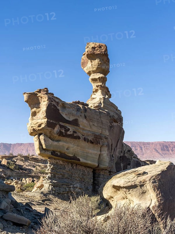 El Submarino (the submarine), Ischigualasto Provincial Park, Villa San Agustín, San Juan Province, Argentina, South America