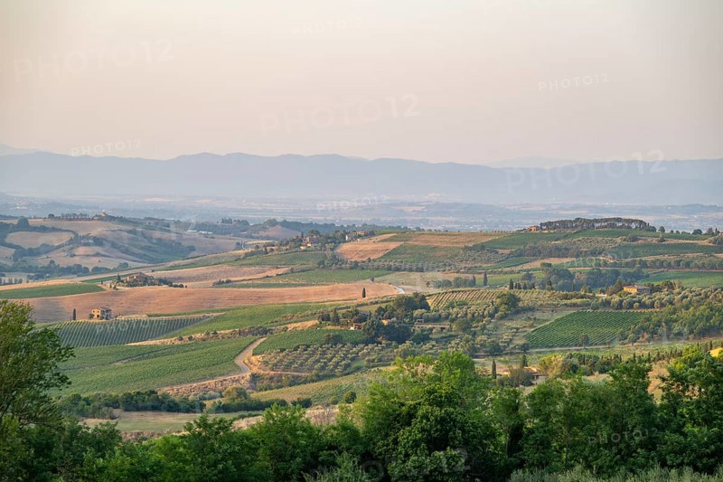 Hilly landscape in Tuscany, view from the upper city wall of Montepulciano, Tuscany, Italy, Europe
