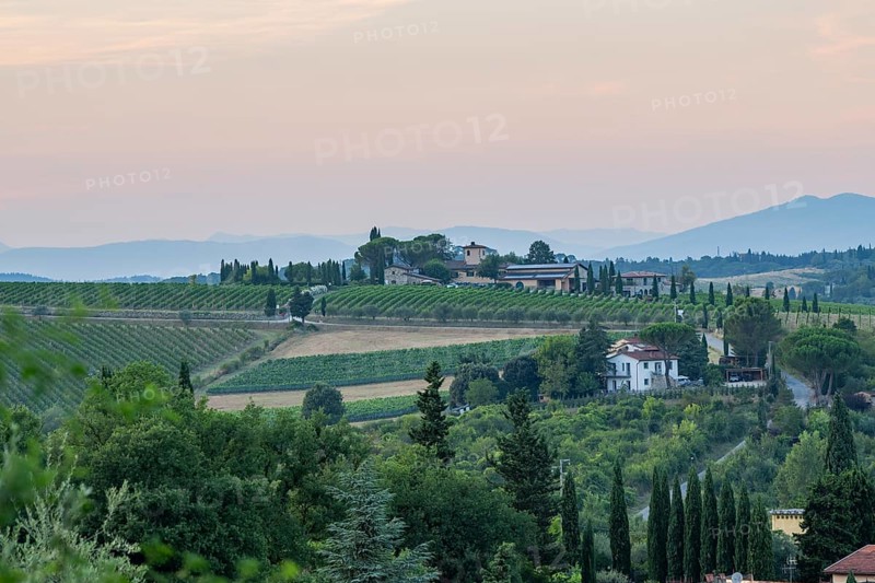 Tuscan landscape next to greve in Chianti and Montefioralle, country estate with vineyards, forests, olive trees and cypresses in Chianti, sunset, Chianti Region, Tuscany, Italy, Europe