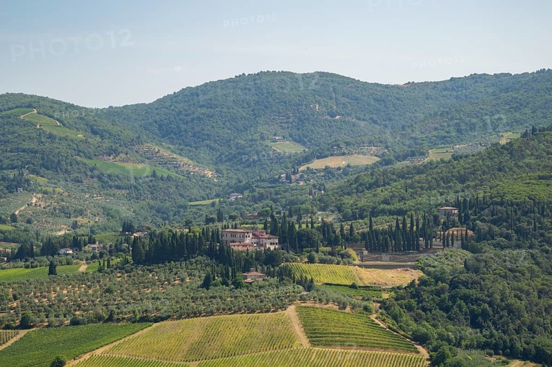 Tuscan landscape, country estate with vineyards, forests, olive trees and cypresses in Chianti, Chianti Region, Tuscany, Italy, Europe