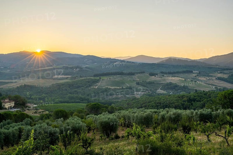 Tuscan landscape at sunrise, country estate with vineyards, forests, olive trees and cypresses in Chianti, Chianti Region, Tuscany, Italy, Europe