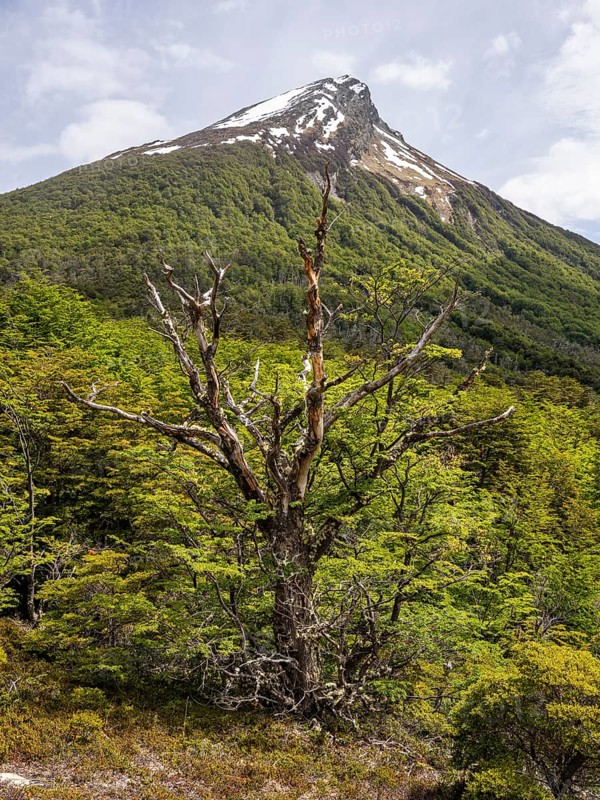 Cerro Guanaco und mountain Hyades, Pampa Alta hiking trail, Tierra del Fuego National Park, National Route 3, Ushuaia, Tierra del Fuego Province, Argentina, South America
