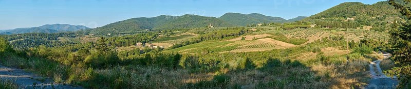 Tuscan landscape, country estate with vineyards, forests, olive trees and cypresses in Chianti, Chianti Region, Tuscany, Italy, Europe