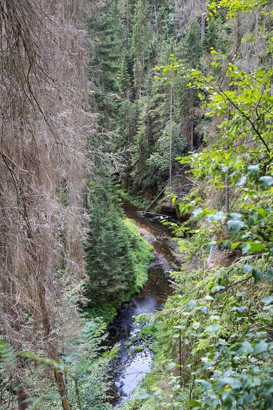 View of the Kirnitzschklamm gorge, Sebnitz, Saxon Switzerland, Saxony, Germany, Europe