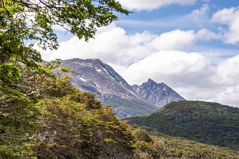 Senda Costera hiking trail, Tierra del Fuego National Park, National Route 3, Ushuaia, Tierra del Fuego Province, Argentina, South America