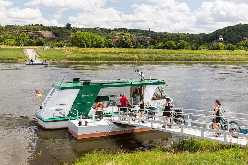 Cyclists use the Stolzenfels Elbe ferry between Niederlommatzsch and Diesbar-Seußlitz, Saxon Elbland, Saxony, Germany, Europe