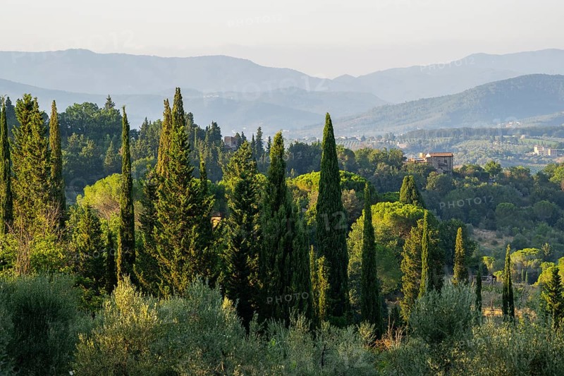 Tuscan landscape, country estate with, cypress trees in Chianti, Chianti Region, Tuscany, Italy, Europe