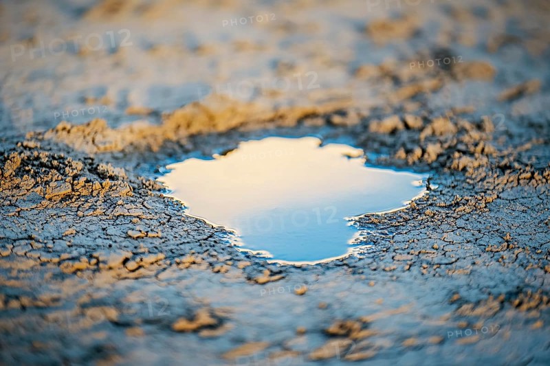 Close up of small water puddle in dry desert ground. Drough concept. Generative AI, AI generated