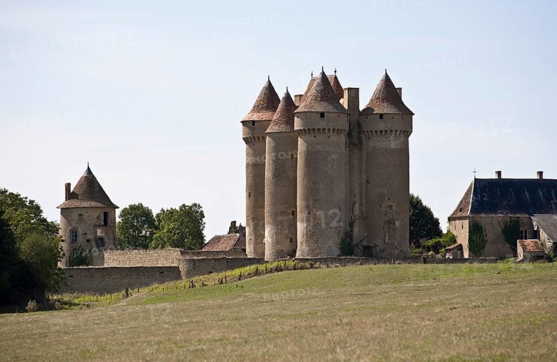 Sarzay, Château de Sarzay