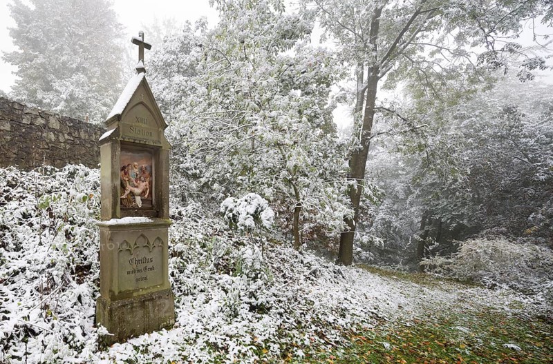Station of the Way of the Cross in the forest, St., Saint, Saint