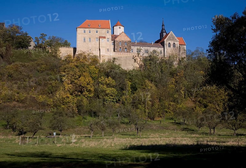 Goseck, Castle