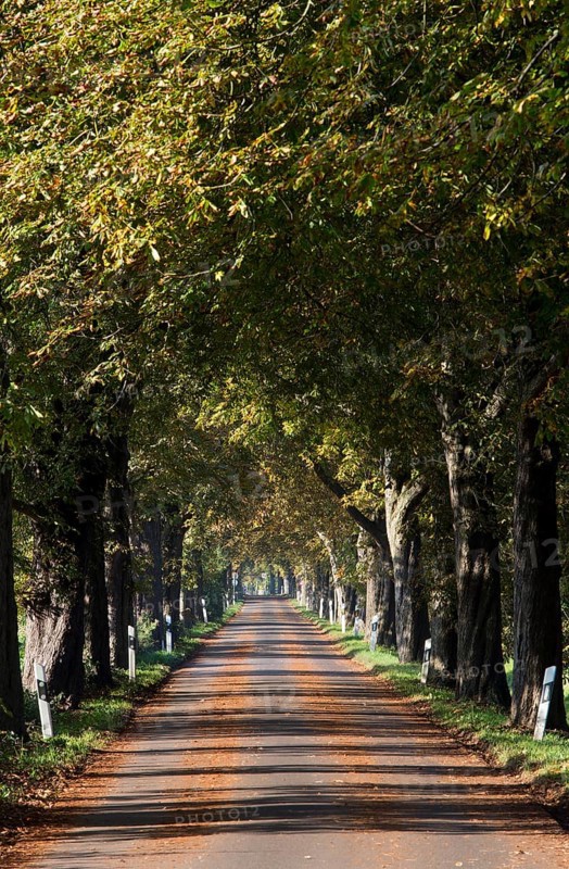 Krefeld, Hökendyk between Kliedbruchstraße and Mörser Straße