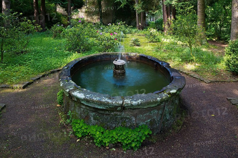 Forest Cathedral (open-air church), Fountain, St., Saint, Saint