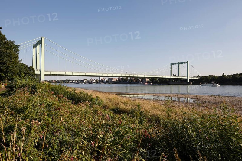 Rhine bridge Cologne-Rodenkirchen, view from the right bank of the Rhine