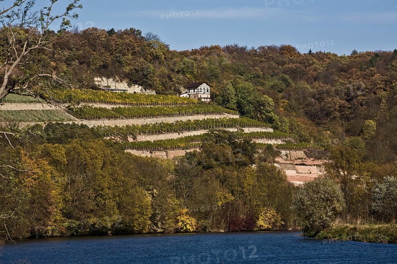 Vineyards on the Saale