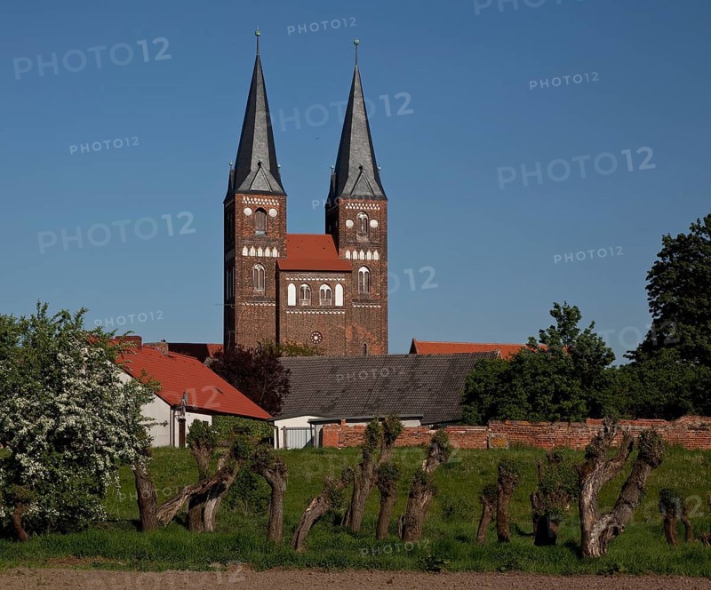 Towers seen from the west from the Elbe floodplain, in front pollarded willows, St., Sankt, Saint