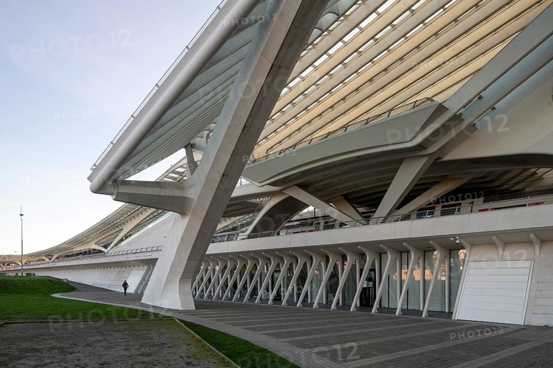 Liège, Liège-Guillemins railway station, design 2009 Santiago Calatrava, concrete pillars and struts for the roof