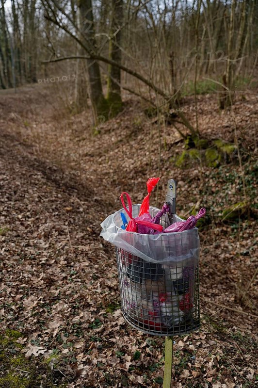 Dog excrement bag in a bin, walking, walking the dog, walking the dog, hazard prevention ordinance, disposal, dog bag, dog poo, plastic bag, trouble, municipality, Schwäbisch Hall