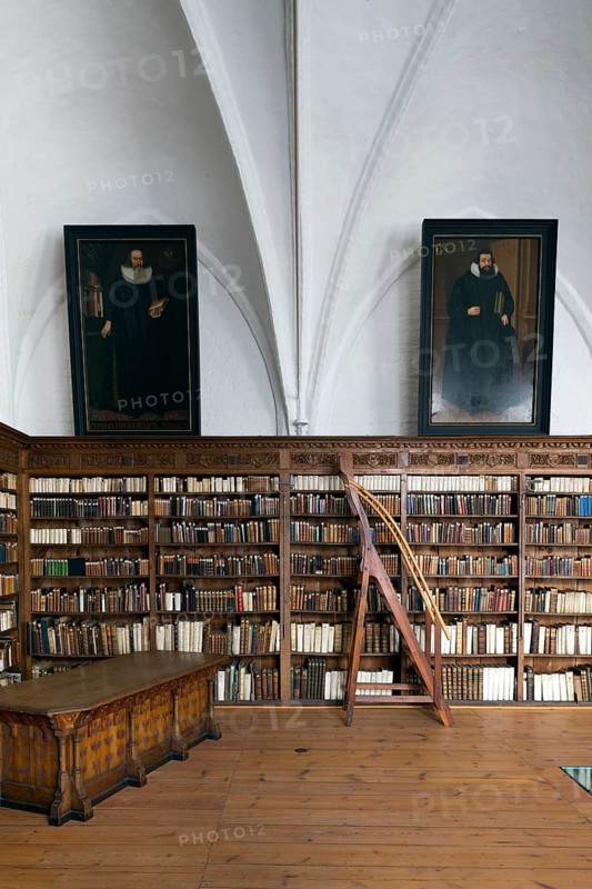 Scharbausaal, dormitory of the Franciscan monks, remodelled in 1618 - 1619 and furnished with ornate oak shelves as a library hall