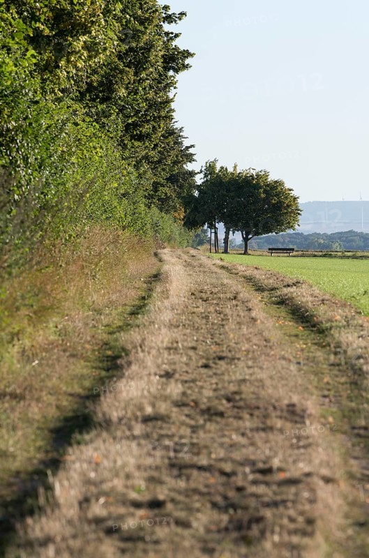 Erftstadt, Römerstraße near Friesheim