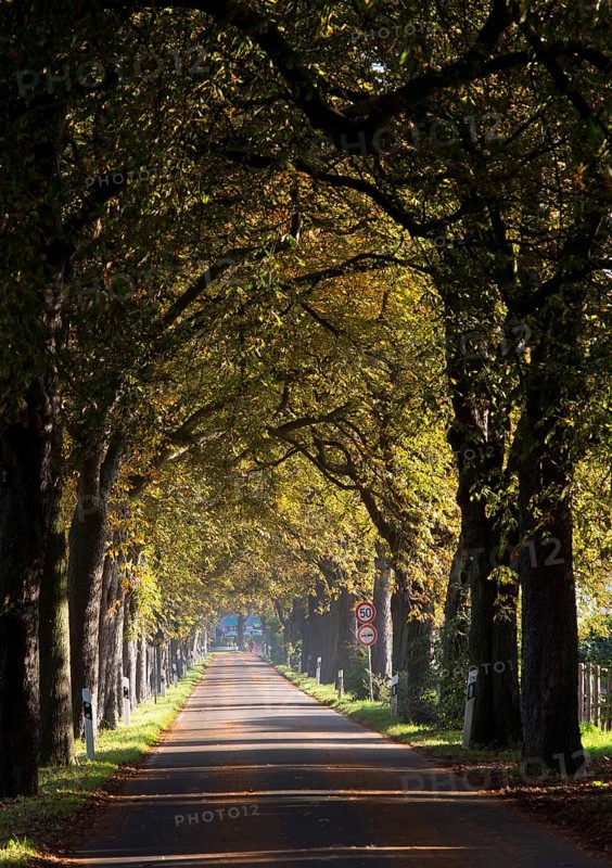 Krefeld, Hökendyk between Kliedbruchstraße and Mörser Straße