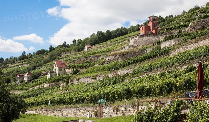 Freyburg Unstrut vineyard houses. Construction period 18-20 c. Schweigenberg vineyard