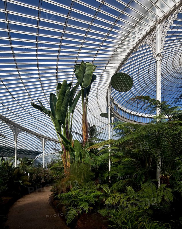 Glasgow Botanic Garden, KIBBLE PALACE greenhouse ensemble built on Loch Long in 1863 and moved to Glasgow in 1873, interior