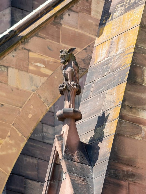 Strasbourg Cathedral, Cath?drale Notre-Dame de Strasbourg, south side, mythical creature on a pinnacle