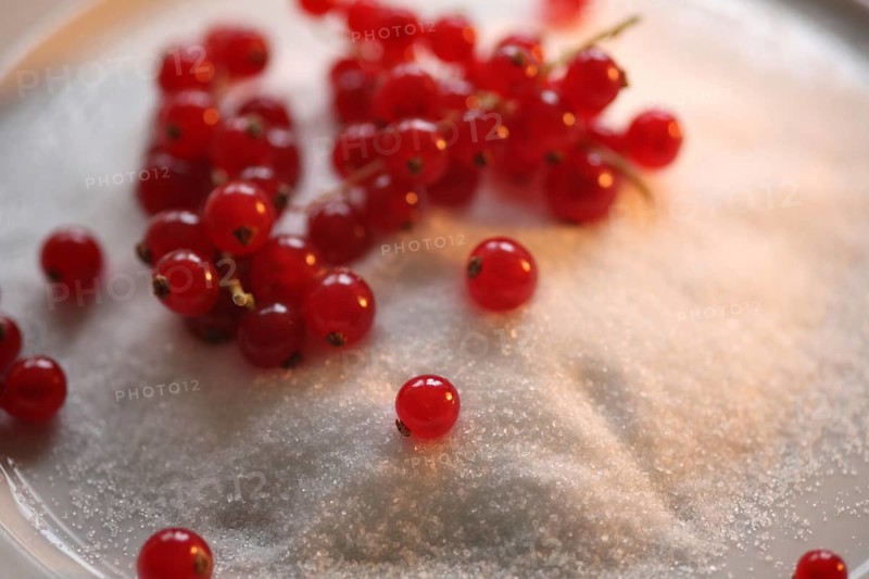 Red currant, (Ribes rubrum) or garden currant, Red currant with sugar, Redcurrant, gooseberry family Grossulariaceae