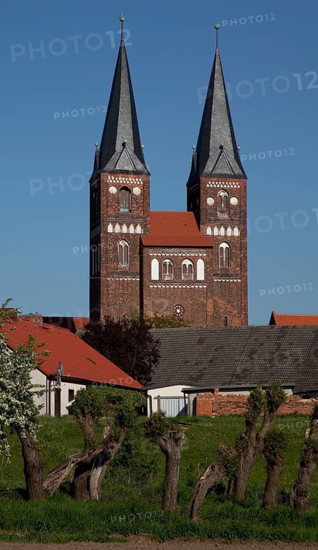 Towers seen from the west from the Elbe floodplain, in front pollarded willows, St., Sankt, Saint