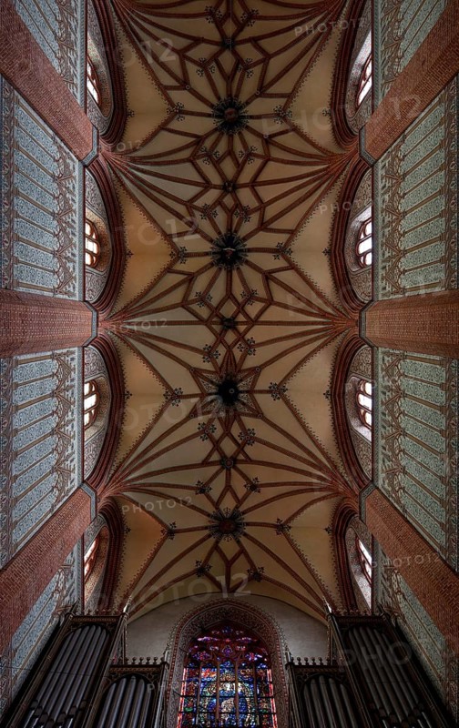 Former Cistercian church, central nave vault, western part, organ and west window cut at the bottom, St., Sankt, Saint
