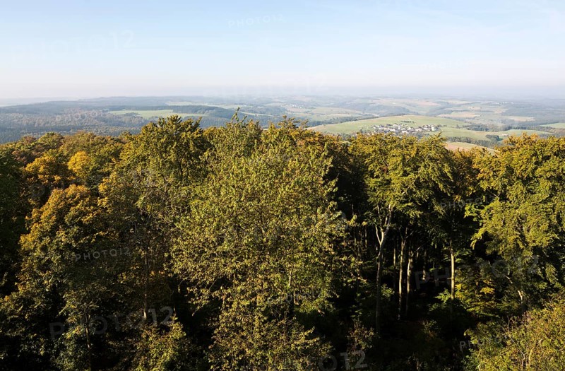 View from the tower of St Michael's Chapel