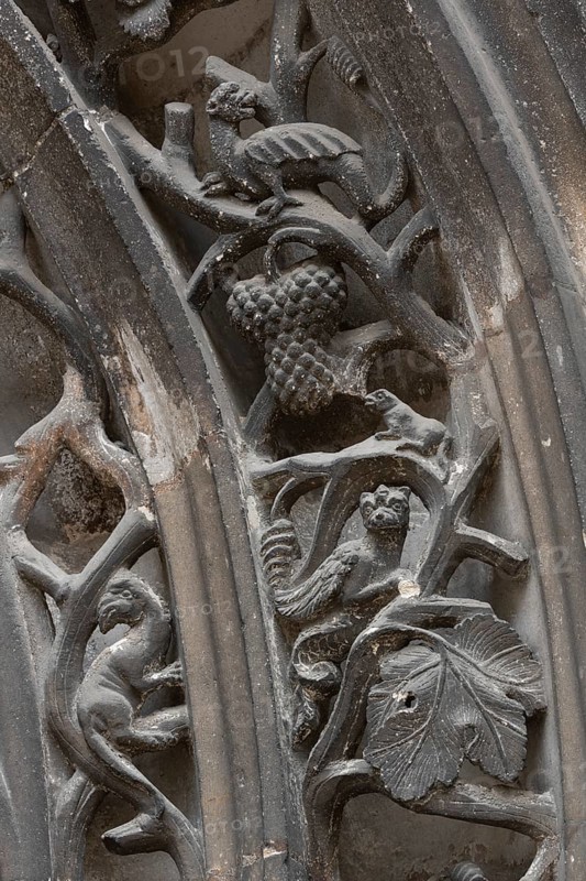 Chaumont, Basilica of St-Jean-Baptiste, portal on the south transept, figurative archivolts, vines and mythical creatures