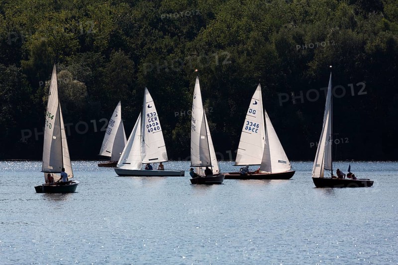 Sailing regatta of the SCV Segelclub Ville, Zugvogel, Schwertzugvogel