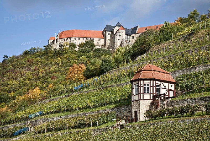 Freyburg/Unstrut, Neuenburg Castle and ducal vineyard