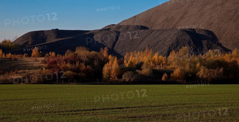 Copper slate mining spoil heap near Polleben
