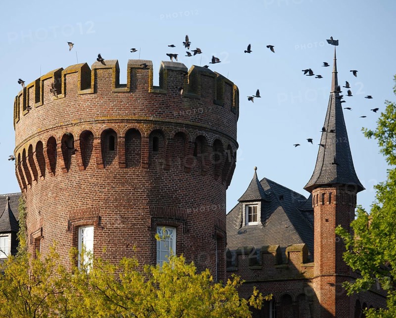Moyland, castle park in spring