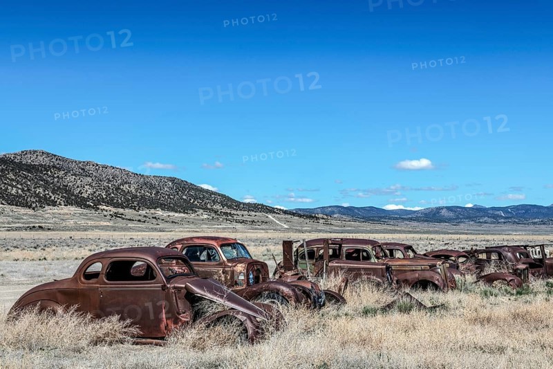 Junkyard with classic cars, Ely, Nevada, USA, North America