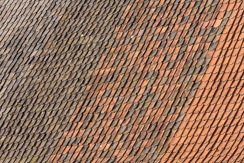 Roof tiles on the barn