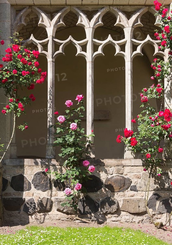 Cloister with roses, St., Saint, Saint